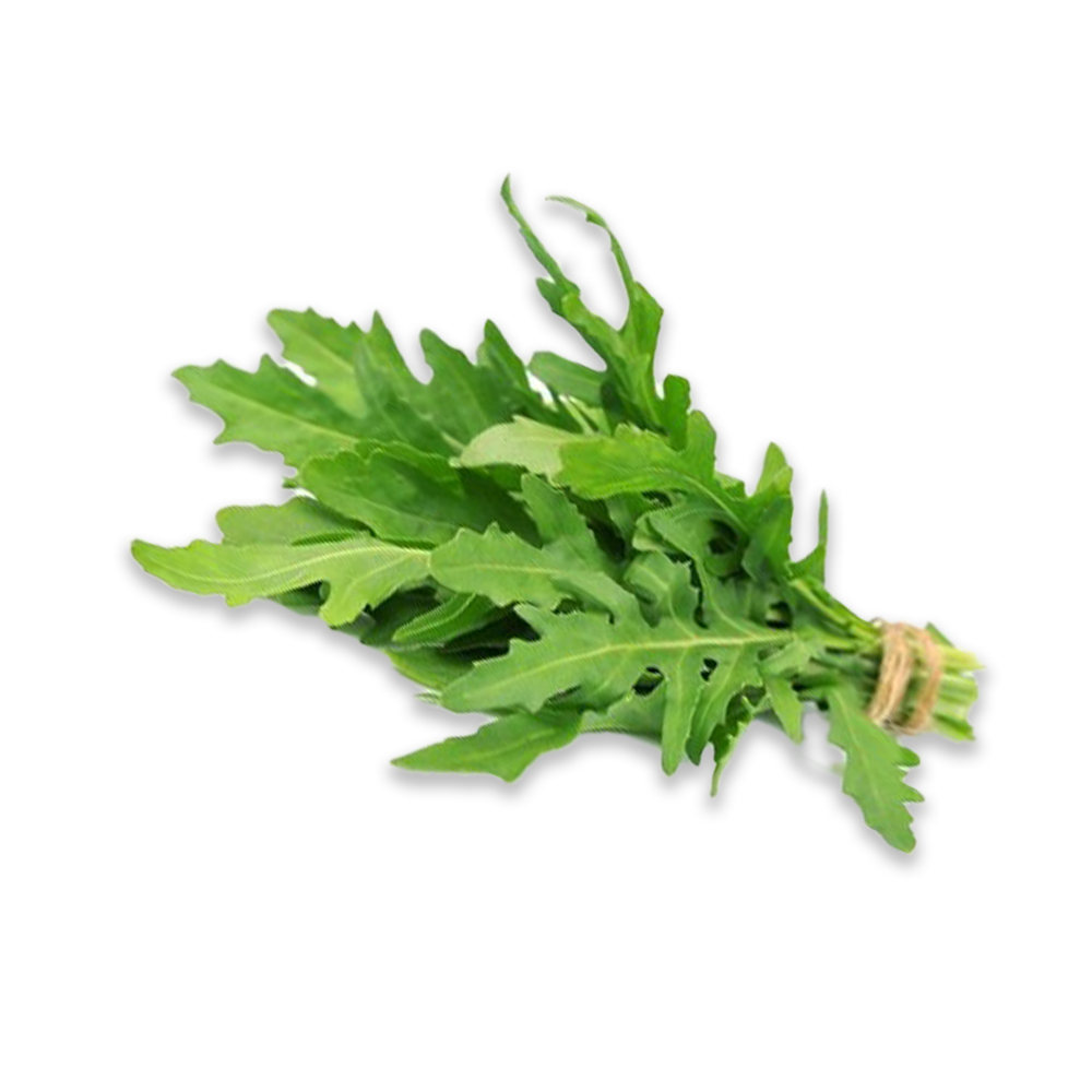 Rucola